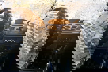 Inside of a car that's been crashed - the airbags are deployed and the windshield shattered