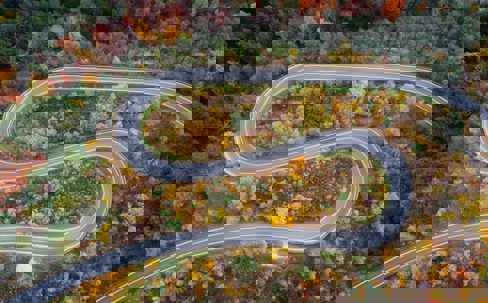 Aerial view of a two-lane windy road in a forest