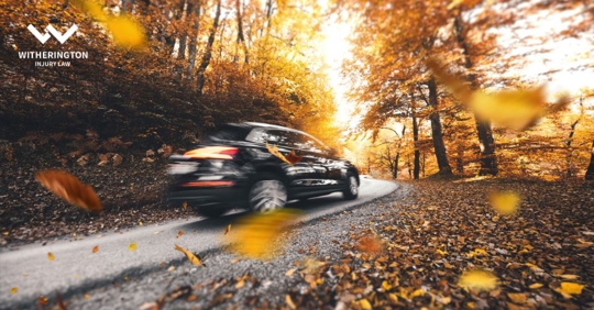 car driving through autumn leaves